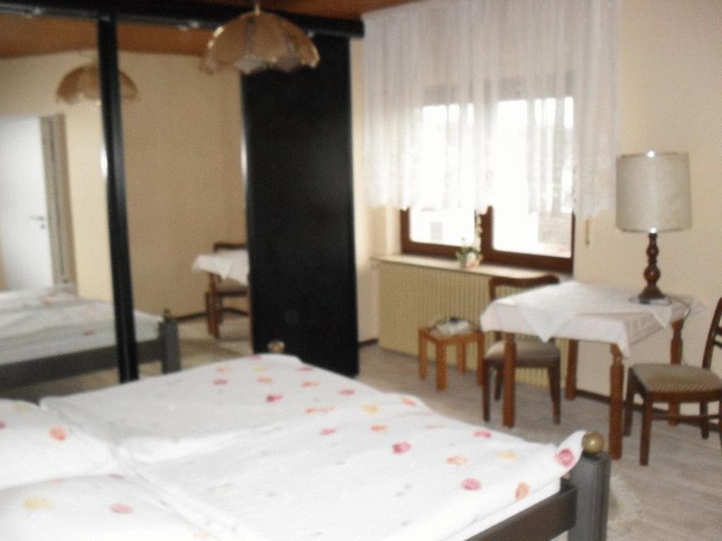 שווצינגן Gasthof Und Pension Mainzer Rad מראה חיצוני תמונה
